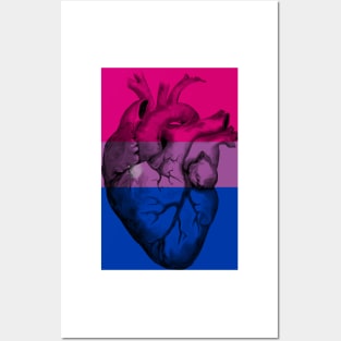 Bisexual Pride Anatomic Heart Posters and Art